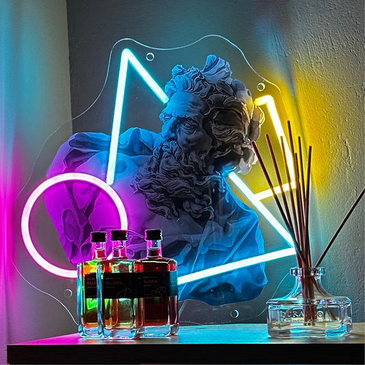 Geometric Neon Bust Art LED Wall Sculpture